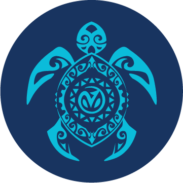 Avelo Technicians course