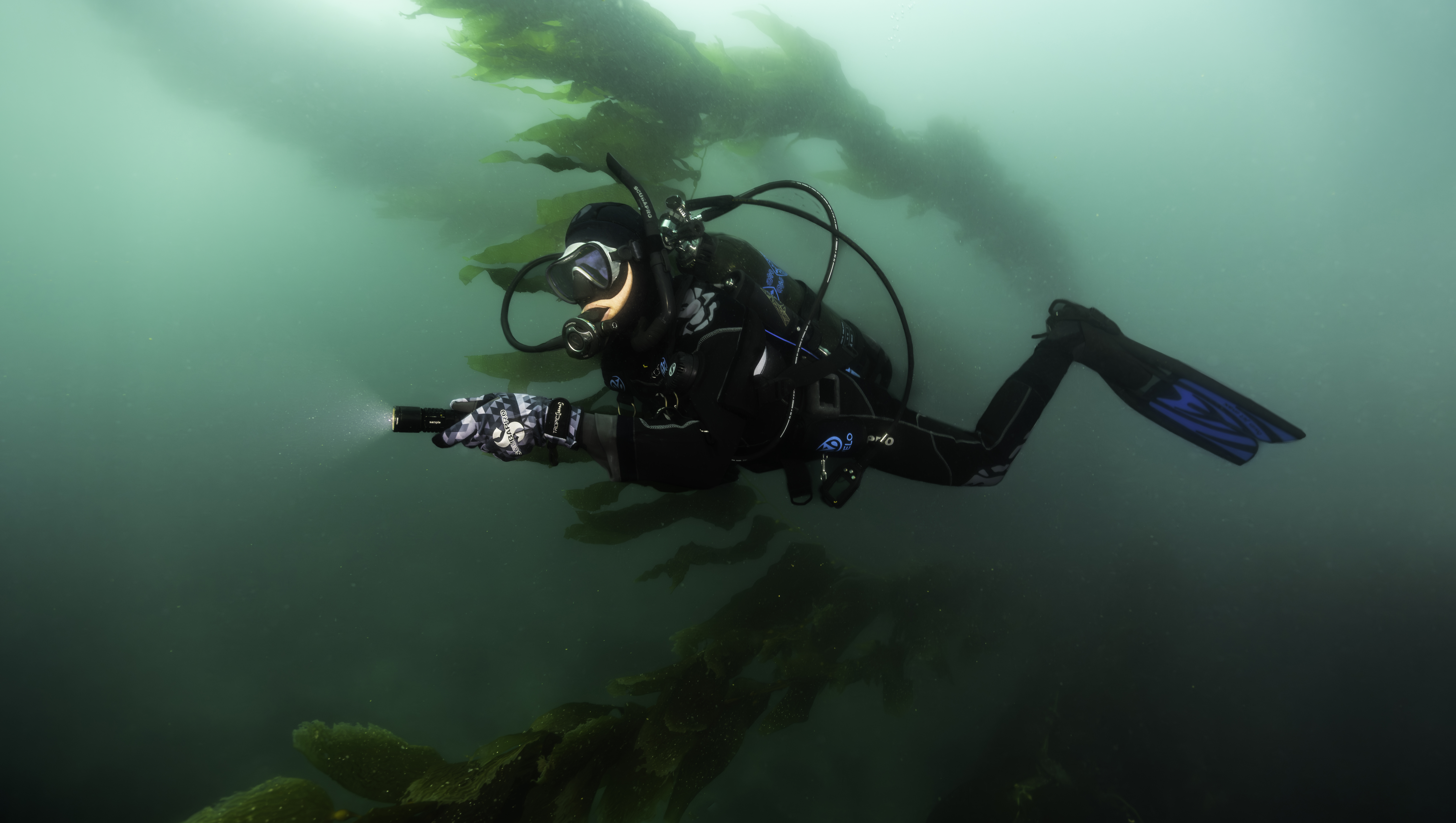 Diver experiencing Avelo