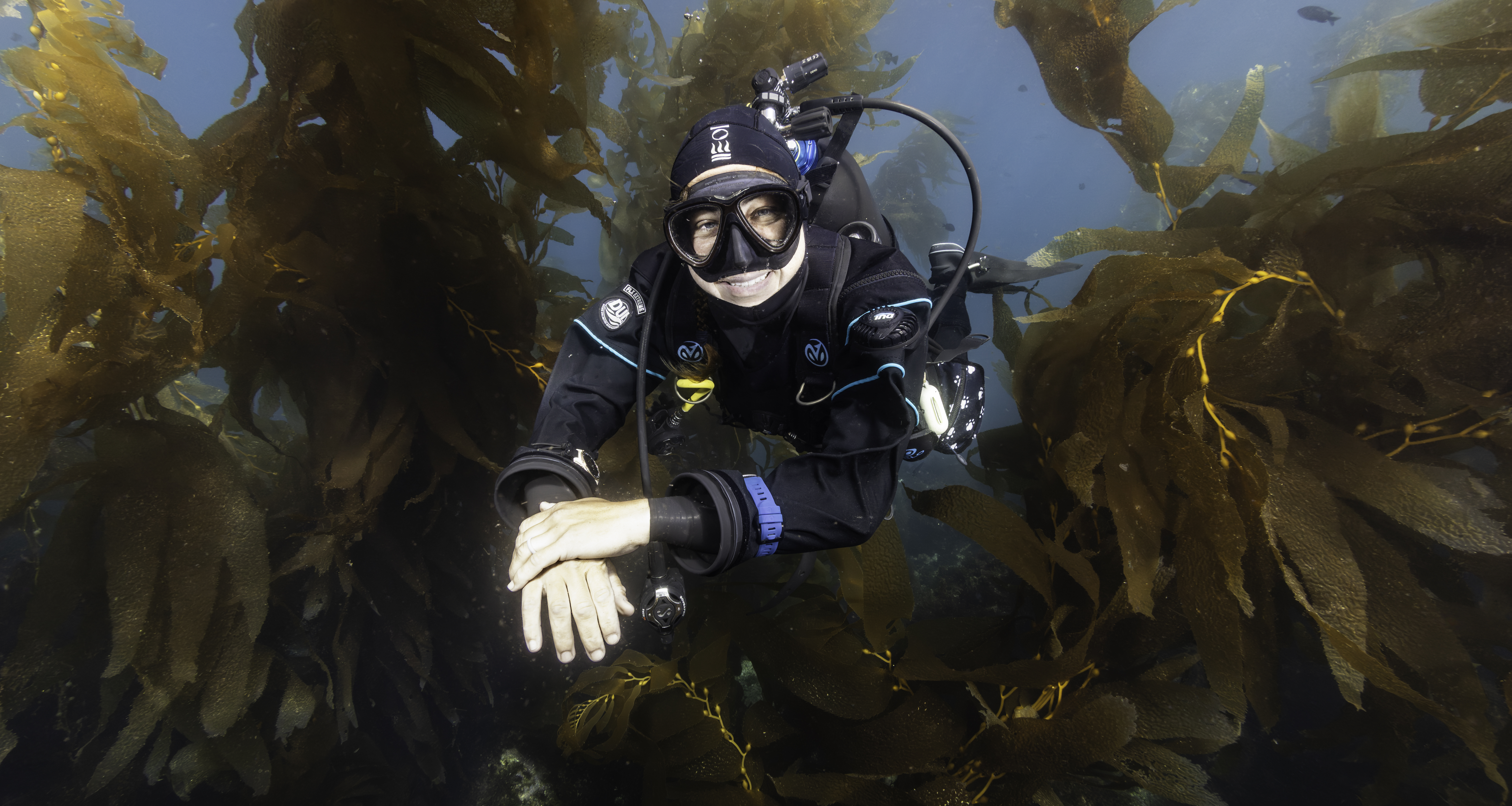Attract new divers