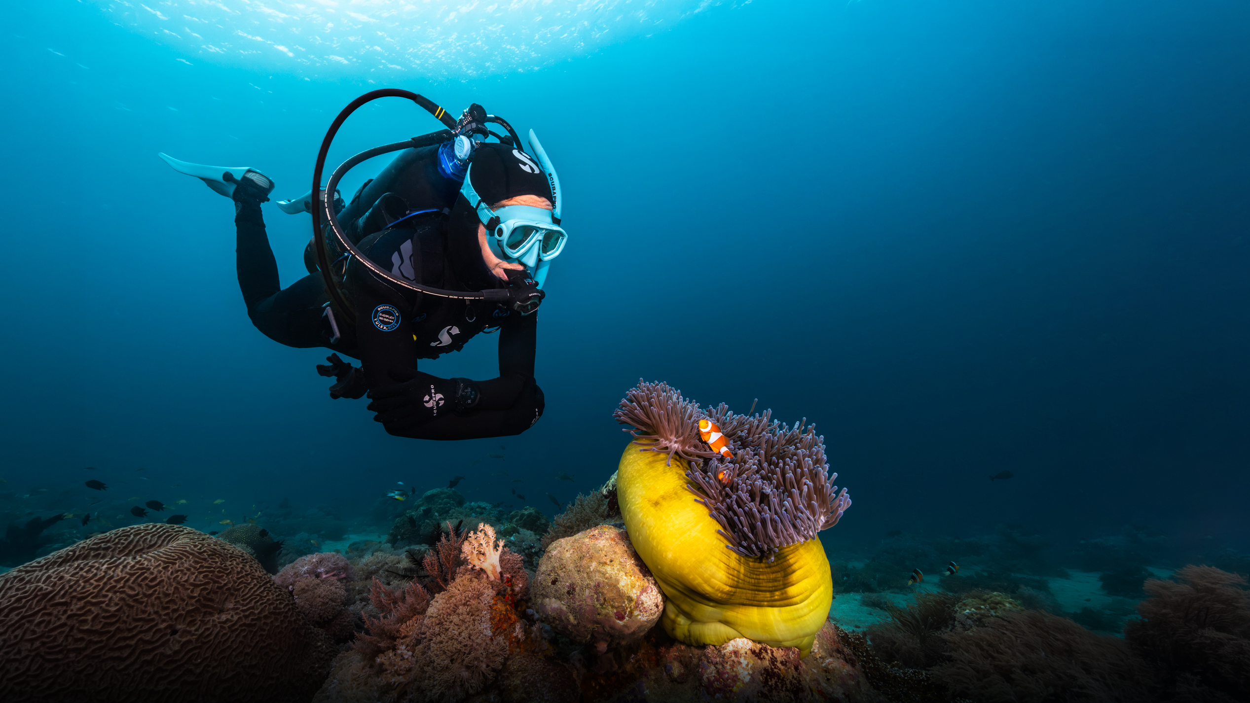 Diver underwater